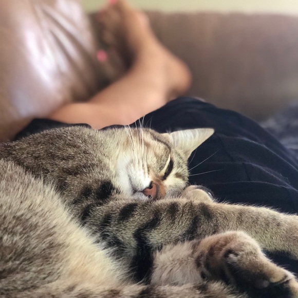 Meet your Posher, T - Picture 1 of 1